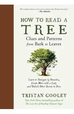 How to Read a Tree: Clues and Patterns from Bark to Leaves