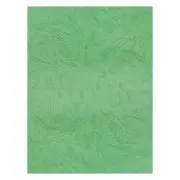 Coperta indosariere A4 CNX, carton imitatie piele, verde, 230g/mp, top 100 coli