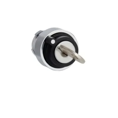 Cap de comutator, Easy Harmony XB2, metal, negru, 22mm, 2 pozitii, cu revenire