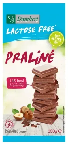 Ciocolată Pralină, fără lactoză, 100 g, Damhert
