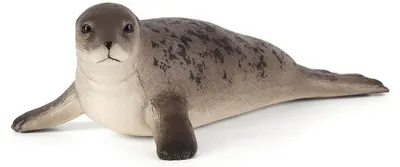 Figurina Mojo Sealife - Foca gri cu nasul lung