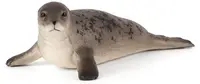 Figurina Mojo Sealife - Foca gri cu nasul lung