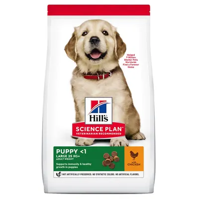Hills SP CANINE PUPPY LB CHK, hrana uscata pentru catei junior, de talie mare, cu pui, 14.5 KG BRB