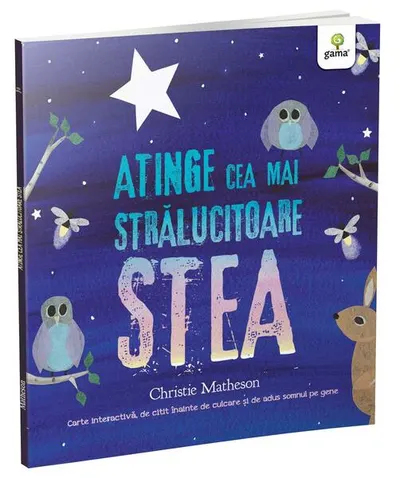 Atinge cea mai strălucitoare stea - Paperback brosat - Christie Matheson