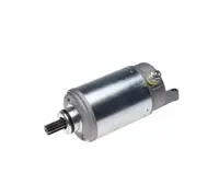 Electromotor Kawasaki Zx 900 Ninja, 10 dinti