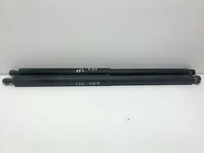 Set telescoape capota spate / haion 315005777 Opel Insignia A (2008-2013)