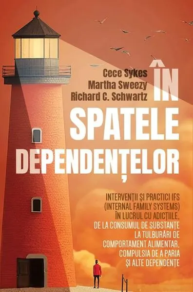 În spatele dependențelor - Paperback brosat - Cece Sykes, Martha Sweezy, Richard C. Schwartz