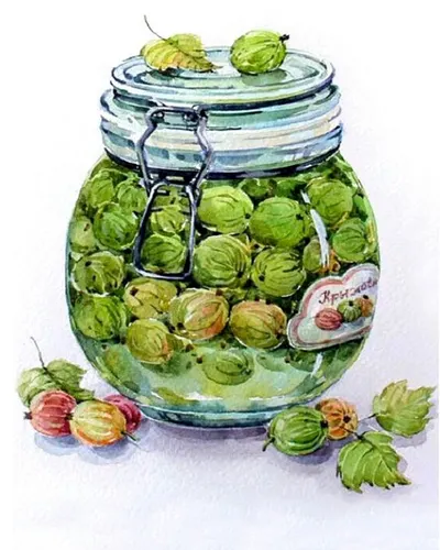Set de pictură cu diamante TSvetnoy - Gooseberry Jam