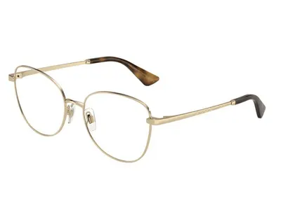 Dolce & Gabbana DG1355 1365