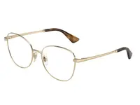 Dolce & Gabbana DG1355 1365
