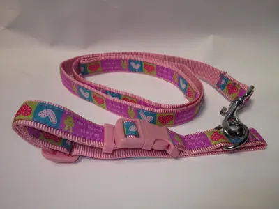 Pet Expert Zgarda/Lesa 1.5X120 cm 1037A 1.5