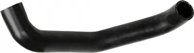 Furtun radiator inferior (33mm 33mm) potrivit FORD ESCORT V, ESCORT V EXPRESS, ESCORT VI, ESCORT VI KOMBI, ORION III 1.3 07.90-02.99