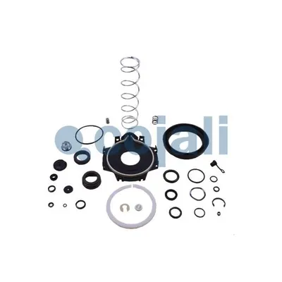 Cojali 6012048