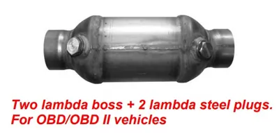Catalizator (2 sonde lambda cu capac; OBD II) EURO 4