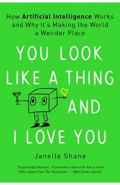 You Look Like a Thing and I Love You: How Artificial Intelligence Works and Why It's Making the World a Weirder Place