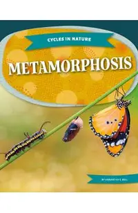 Metamorphosis