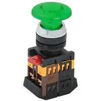 Control buton AELA22 Mushroom verded22mm neon /240V 1C+1r