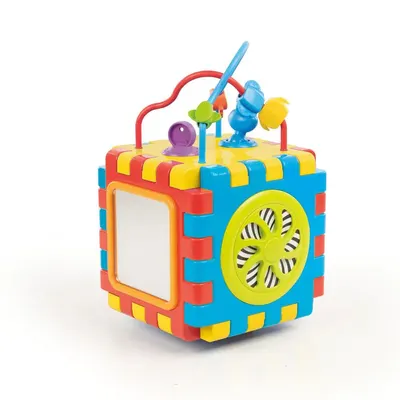 Cub educational cu activitati Dolu 2 in 1