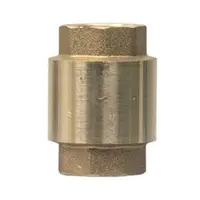 Supapa de Sens, Alama 3/4", cu Arc si Element de Inchidere, pentru Instalatii Apa si Termice