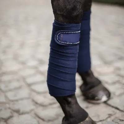 Kentucky Polar Fleece Polos Pearls Blauw
