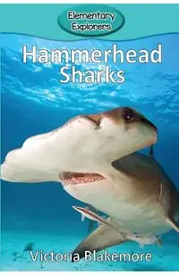 Hammerhead Sharks