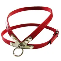 Pet Expert Ham Clasic Rosu - nr-6