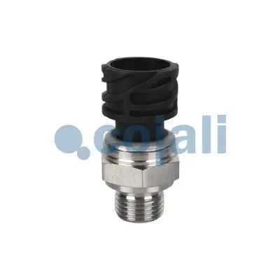 Cojali 2260283