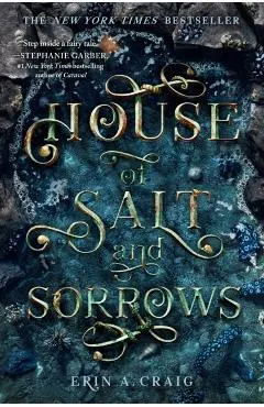 House of Salt and Sorrows