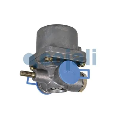 Cojali 2229207