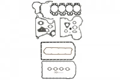 Set garnituri motor 4202D; 4219D potrivit CASE IH 1394, 1494; JOHN DEERE 2020, 2030, 2120, 2440, 2510, 410B