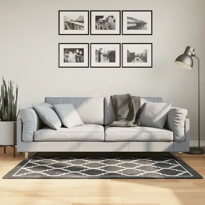 vidaXL Covor lavabil, alb și negru, 80x150 cm
