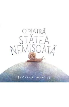 O piatra statea nemiscata