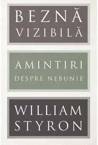 Beznă vizibilă - Hardcover - William Styron