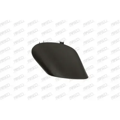 Capac, suport oglinda exterioara PRASCO FT0307401