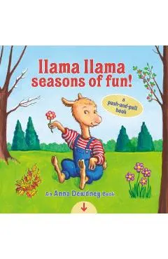 Llama Llama Seasons of Fun!: A Push-And-Pull Book