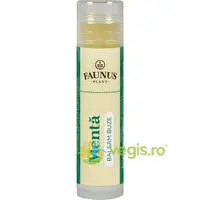 Balsam de Buze Menta 5ml
