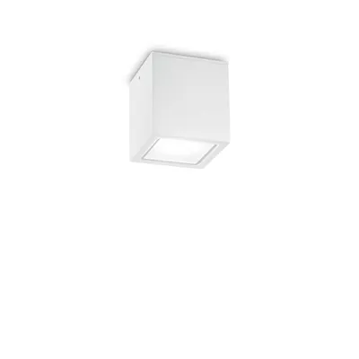 Corp de iluminat decorativ pentru exterior TECHO PL1 SMALL BIANCO