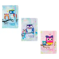 Carnet A5, 80 file, cu elastic, Owl