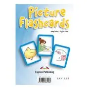 Curs limba engleza Set Sail 3. Picture flashcards