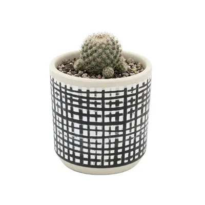 Ghiveci ceramică 9x9 cm model linii perpendiculare
