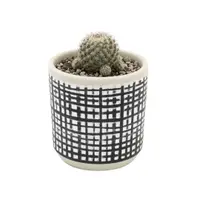 Ghiveci ceramică 9x9 cm model linii perpendiculare