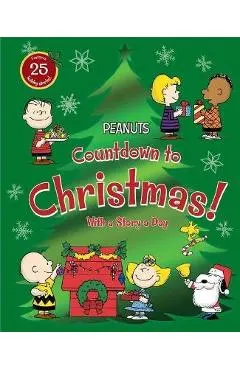 Countdown to Christmas!: With a Story a Day