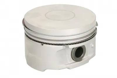 Piston 78,5 (std) Potrivit Citroen Berlingo, Berlingo Multispace, Berlingo Minivan, C2, C3 I, C3 Pluriel, C4, C4 I, Saxo, Xsara, Xsara Picasso; Peugeot 1007, 106 Ii, 206, 207 1.6 1.6alk 1.6lpg 02.96-