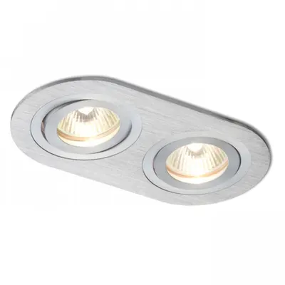 BIZZ II directional aluminiu periat 12V GU5,3 2x50W