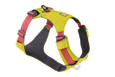 Ham ajustabil, lichen green, cu tiv reflectorizant, L-XL (81-107 cm)