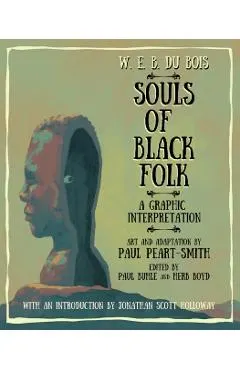 W. E. B. Du Bois Souls of Black Folk: A Graphic Interpretation