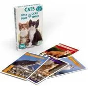 Set 3 jocuri cu carti intr-un singur pachet
