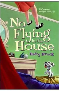 No Flying in the House