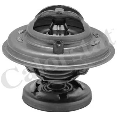 Termostat, lichid racire CALORSTAT by Vernet TH5699.85J