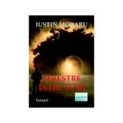Ferestre intre lumi